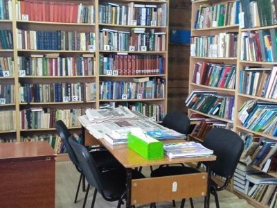 Балдыкнинская сельская библиотека, филиал № 6