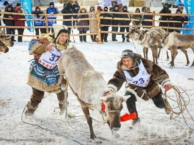 Лучших ловцов оленей определили на чемпионате по оленеводству в Иенгре