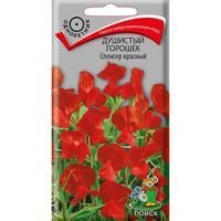 Душистый горошек Спенсер красный