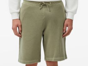 Мужские хлопковые шорты Lacoste