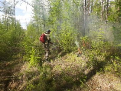 В Якутии за сутки не обнаружили новых лесных пожаров