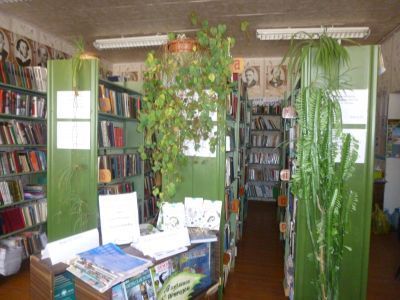 Путятинская сельская библиотека-филиал № 29