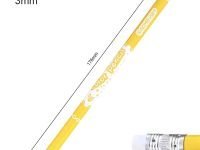 Набор карандашей стираемых цветных Acmeliae 12 цв, картонном футляре