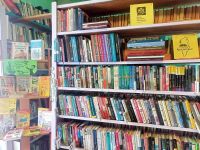 Борзовская сельская библиотека – филиал № 35