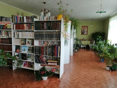 Арсеновская модельная библиотека