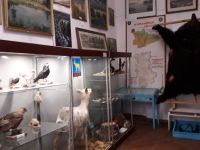 Мишкинский историко-краеведческий музей им. Александра Павловича Сычева