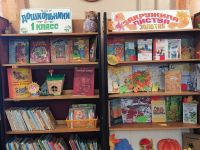 Центральная детская библиотека р. п. Новые Бурасы