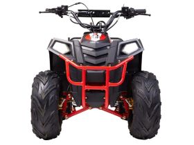 Квадроцикл RAPTOR Dux Lux 8