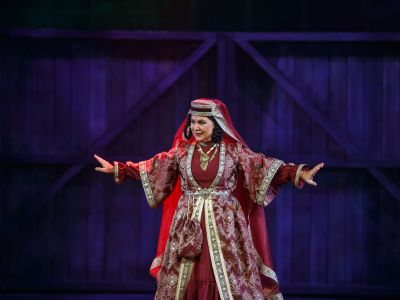 Ханума (Балтийский дом)