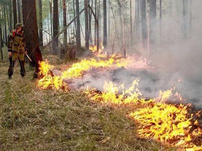 В Якутии из-за пожаров по причине сельхозпалов будут ограничивать объём межбюджетных трансфертов
