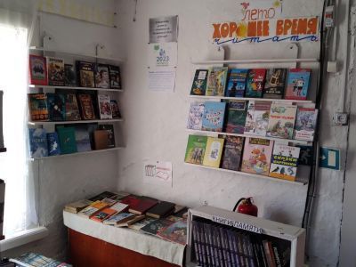 Быстровская сельская библиотека – филиал № 4