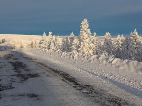 Автопутешествие Якутск - Оймякон - Магадан (Зимний сезон)