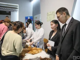 Свыше 7,5 тысячи вакансий предложили на ярмарке трудоустройства в Якутии