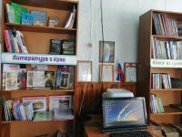 Зимниковская сельская библиотека – филиал № 11