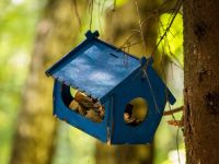 Парк «Городской лес»