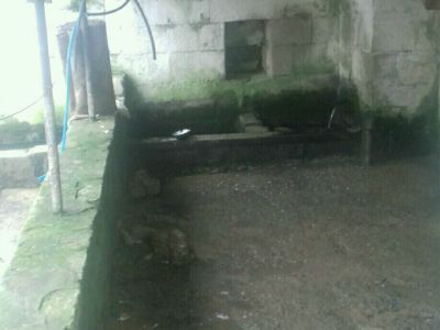 Источник священный