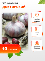 Чеснок Докторский 1 уп. (10 головок) калибр 4