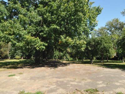 Парк с прудами