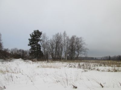 Родина Героя Советского Союза Н.М. Андреева, погибшего в 1943 г.