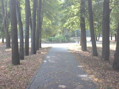 Слобода Хорватов "Головчино", парк