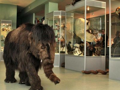 Билибинский краеведческий музей им. Г. С. Глазырина