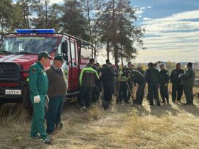 Якутяне высадили 600 сосен для геоглифа «Победа-80»