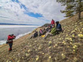Ледоход на Еланке: Весеннее пробуждение природы и незабываемые виды