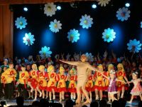 Центр культуры и досуга «Молодежный» г. Нижнего Новгорода