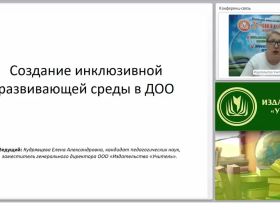 Создание инклюзивной развивающей среды в ДОО