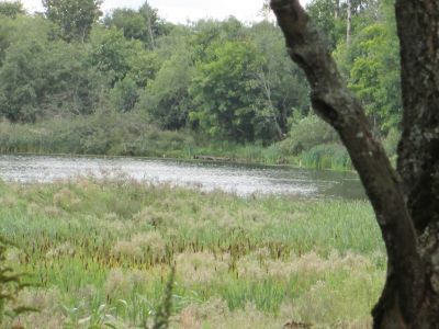 Памятное место, где в 1861 году происходили крупные волнения крестьян