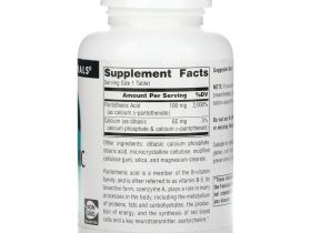 Source Naturals, Пантотеновая кислота, 100 мг, 250 таблеток