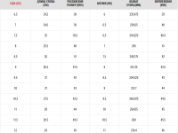 Стельки для обуви DAYLITE