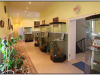 Краеведческий музей городского округа Эгвекинот