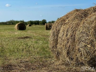 Более 37 млн рублей выделено на резервный фонд кормов в Якутии