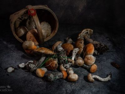 Фотофакт: в окрестностях Якутска после дождей пошли первые грибы