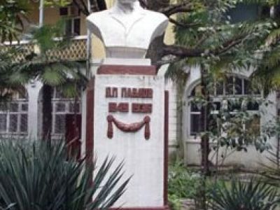 Бюст И.П. Павлова