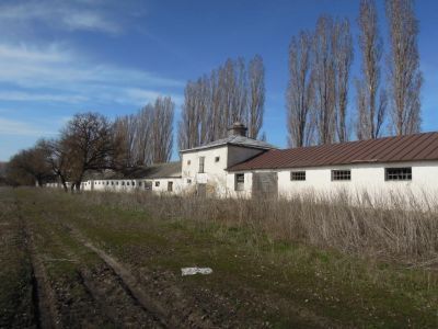 Конный завод Тулиновых - фон дер Ропп