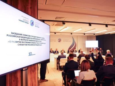 Планы по газификации регионов России обсуждены на заседании комиссии Госсовета по энергетике