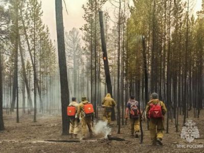 Площадь лесных пожаров в Якутии сократилась в 15 раз по сравнению с 2024 годом