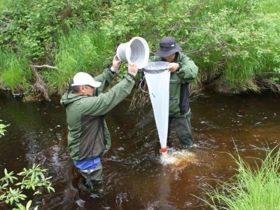 Ученые СВФУ оценили экологическое состояние Чаяндинского месторождения
