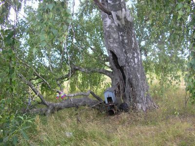 Священная роща