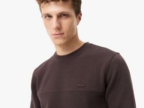 Мужской свитшот Lacoste стандартного кроя