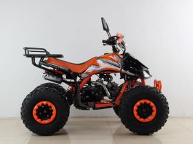 Квадроцикл MOTAX ATV T-Rex Super LUX 50 cc