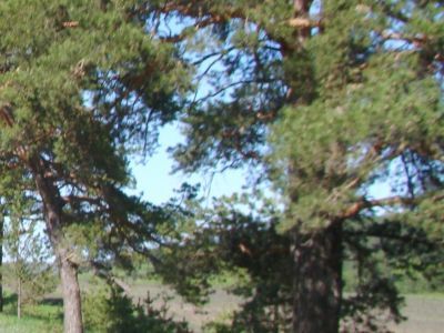 Фарфоровый завод