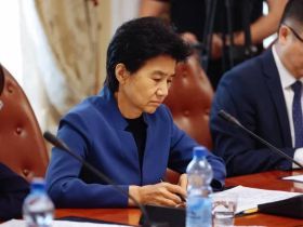 Строительство моста Джалинда — Мохэ обсудили власти Амурской области и провинции Хэйлунцзян