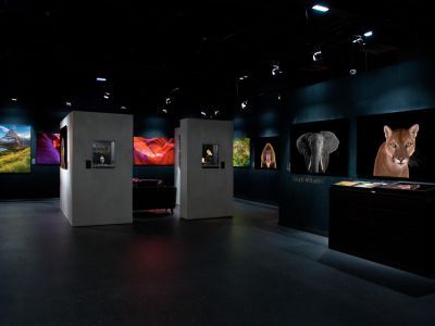 Центр современного изящного искусства Surround Art Gallery