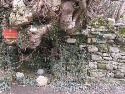 Остатки крепостной стены форта Лазарев