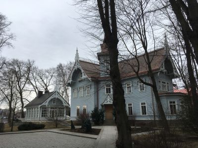 Дом Голицынского с участком парка и оградой
