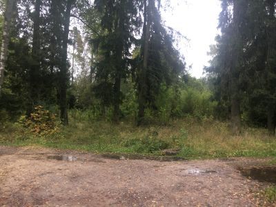 Место усадьбы, где в 1884 г. жил писатель Салтыков-Щедрин М.Е.