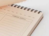 Планировщик на пружине FALAFEL BOOKS А4 Cane Sugar